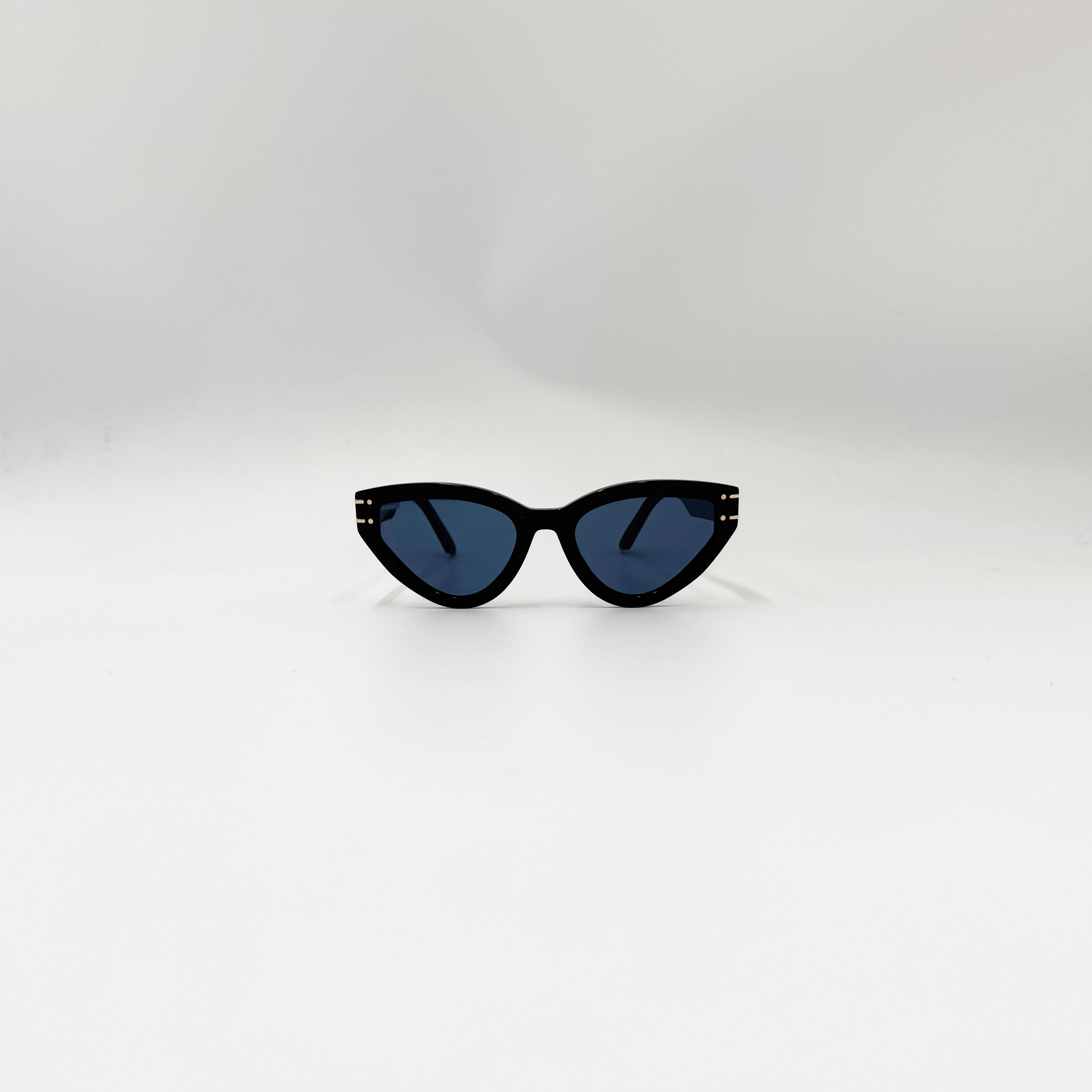 Christian DiorSignature B2U sort