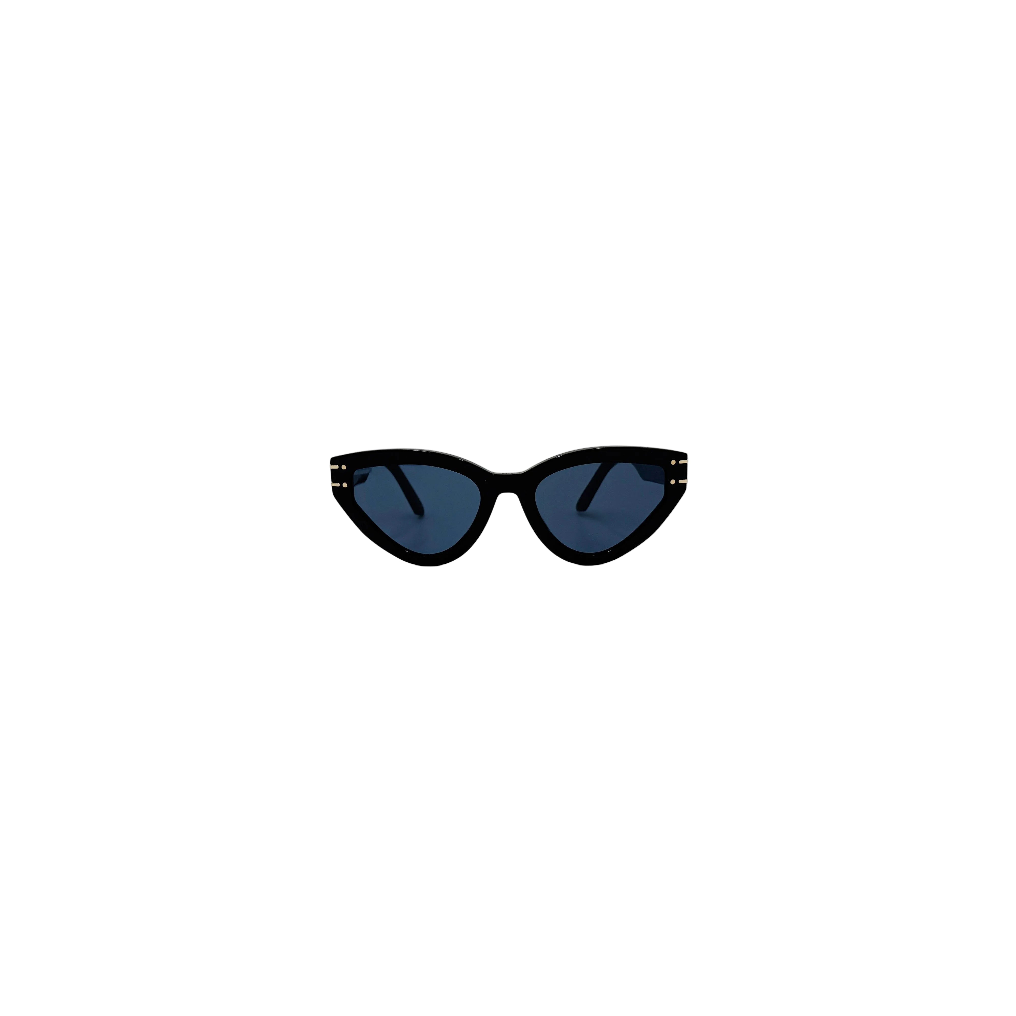Christian DiorSignature B2U sort