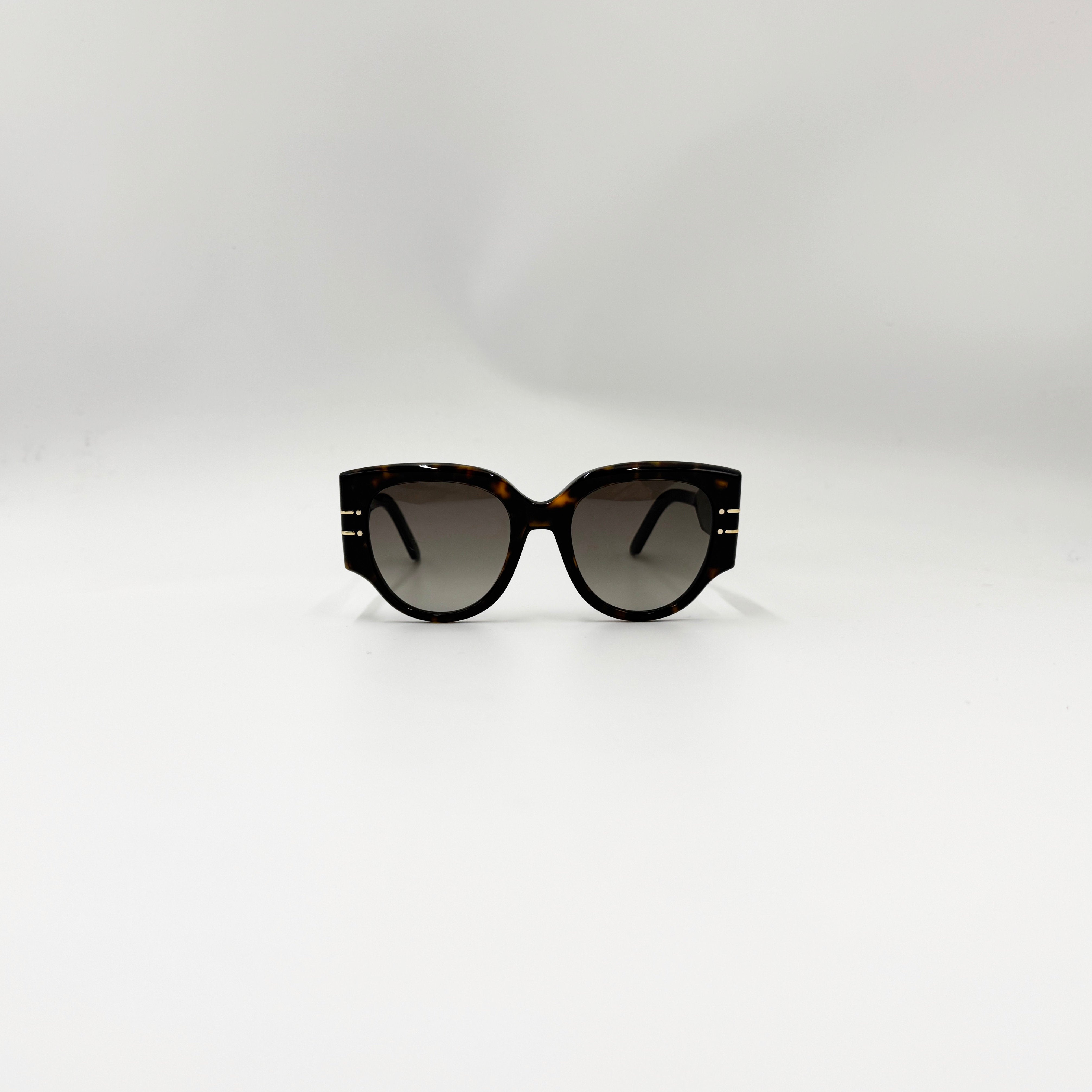 Christian DiorSignature R2I havana