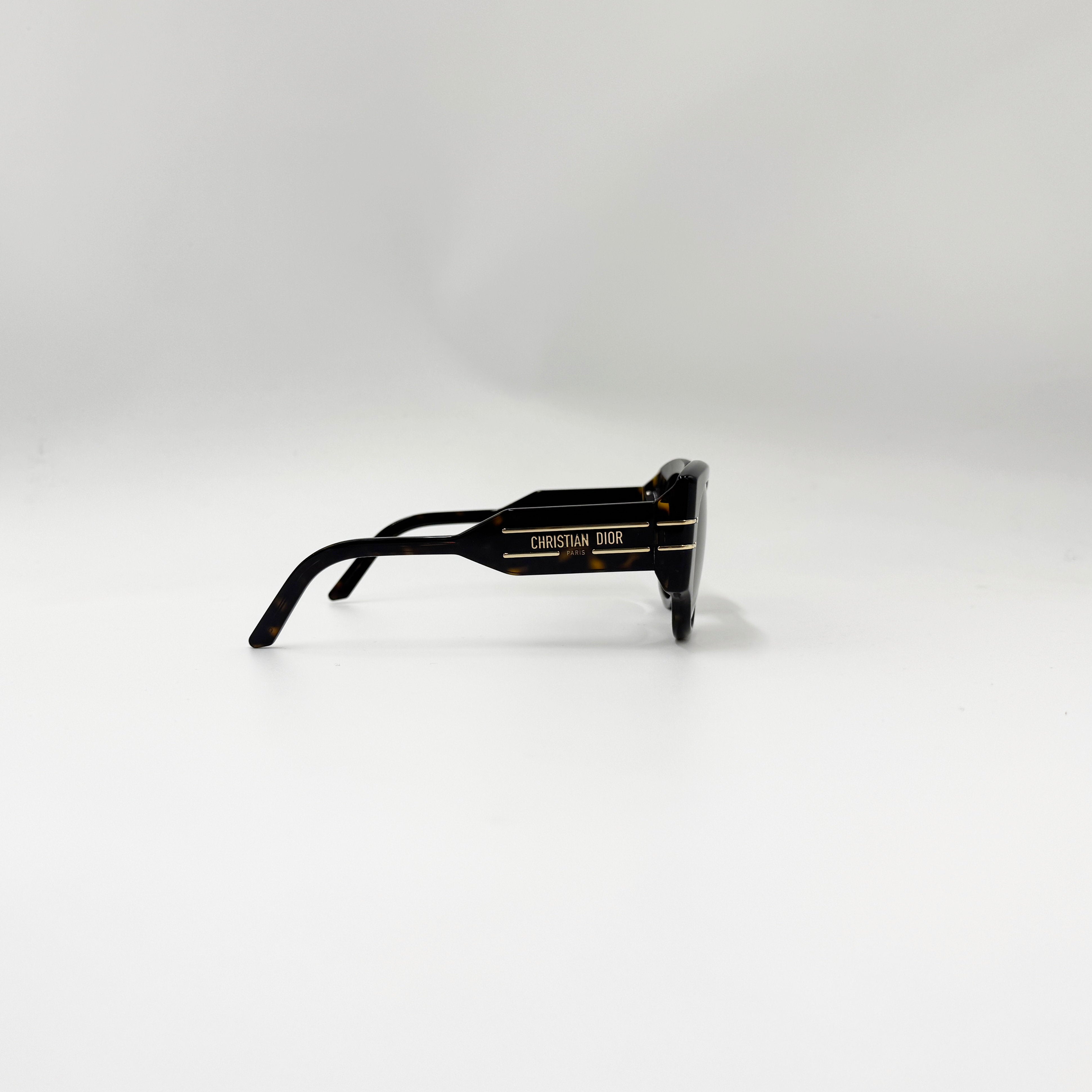 Christian DiorSignature R2I havana