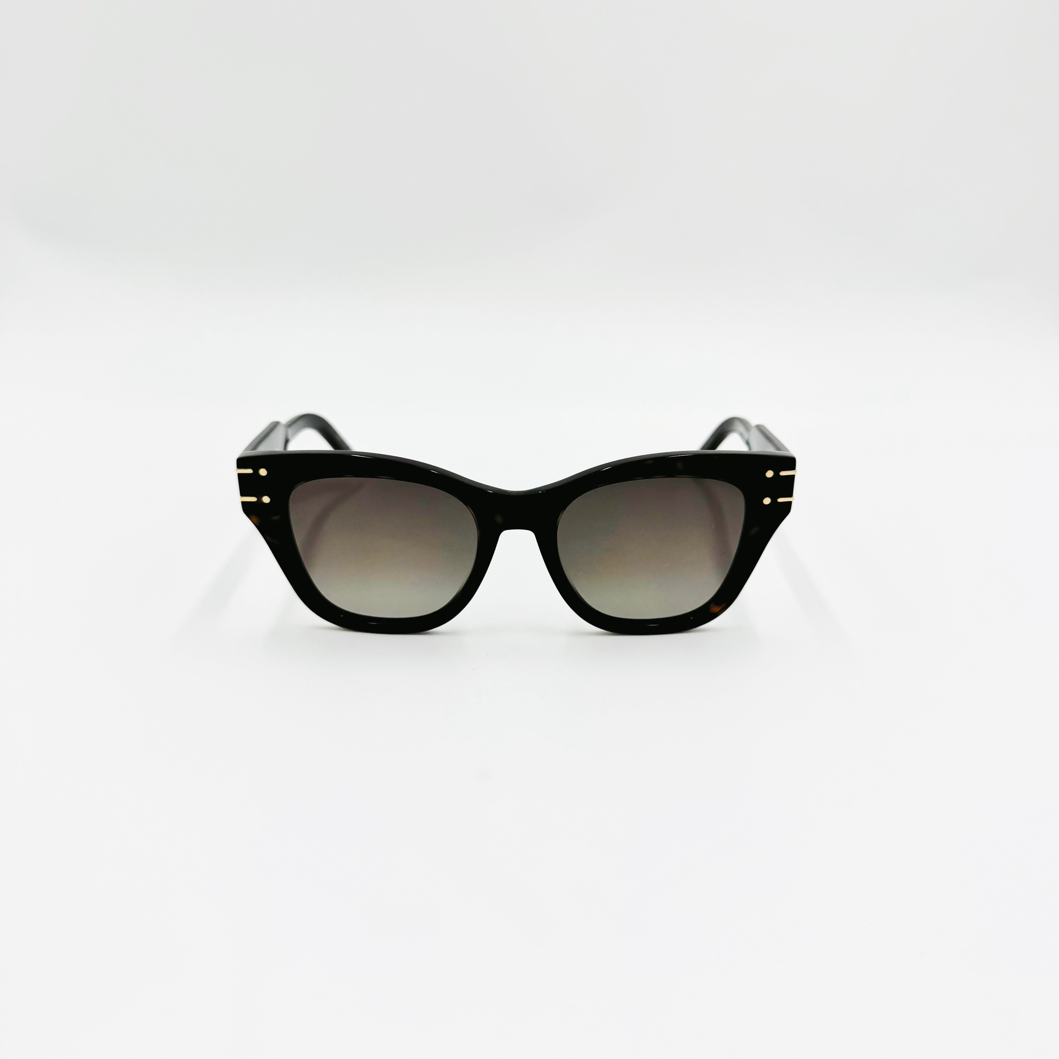 Christian Dior Diorsignatur B41 havanna