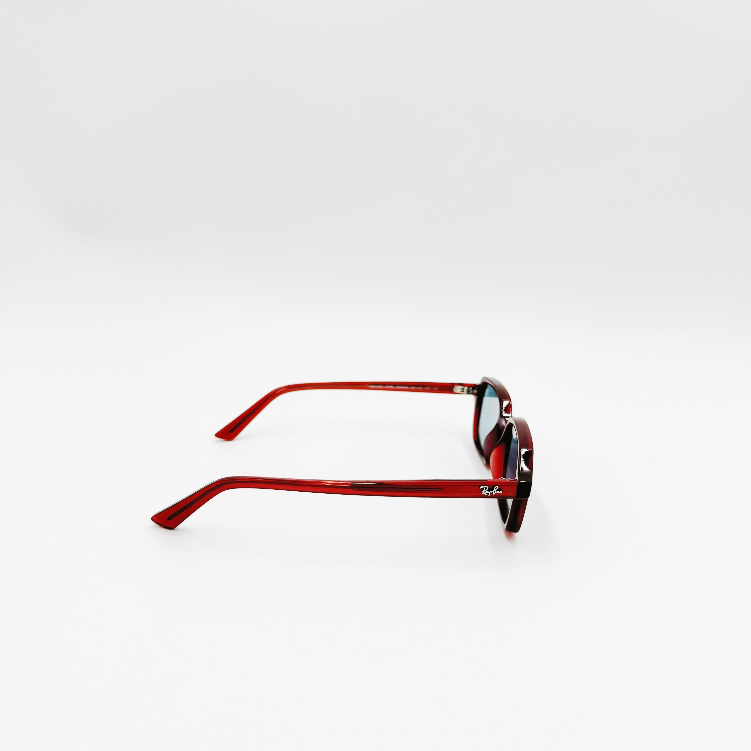 Ray-Ban Zuri 0RB4455 Frosty brown (bordeaux)