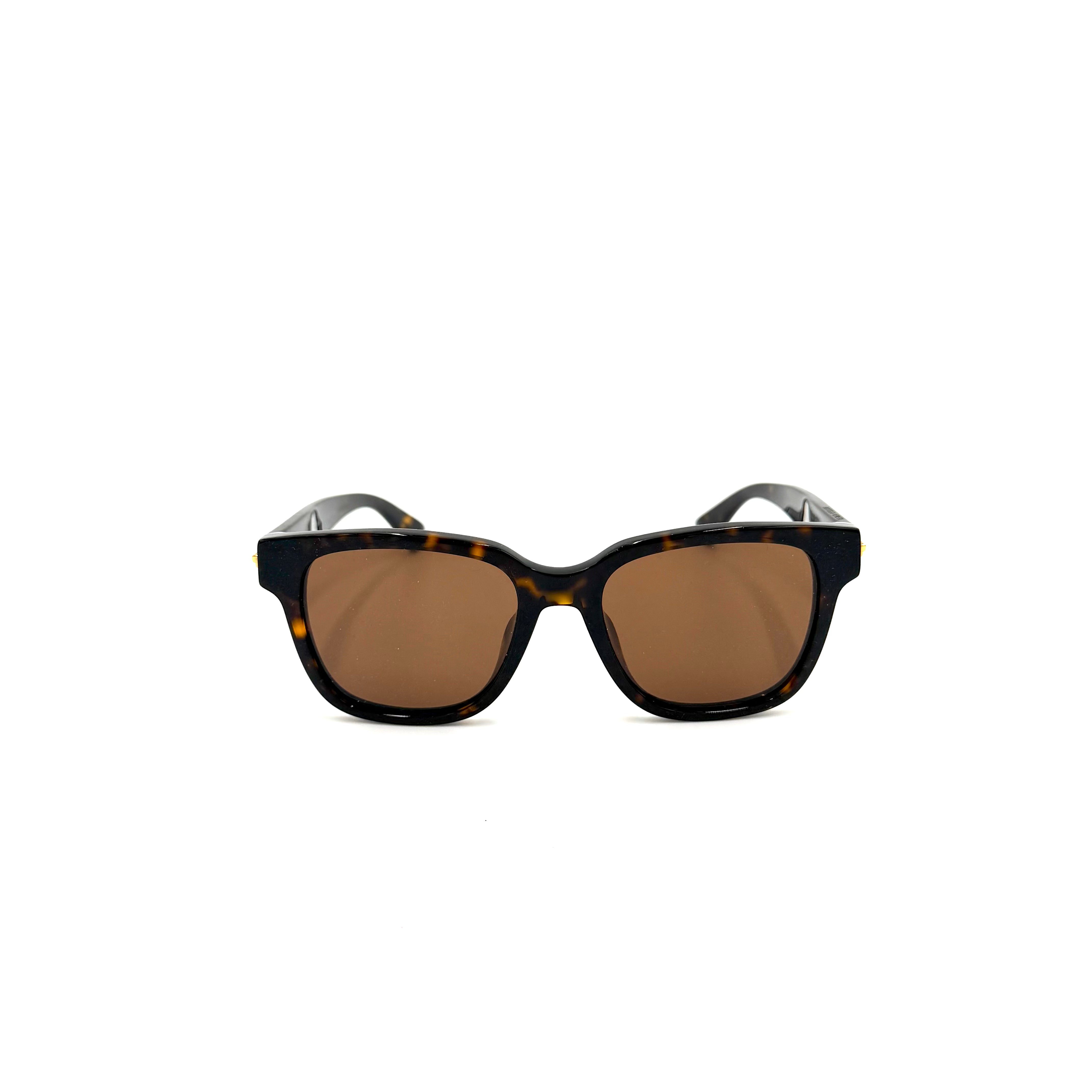 Bottega Venetta BV1461SK Havanna