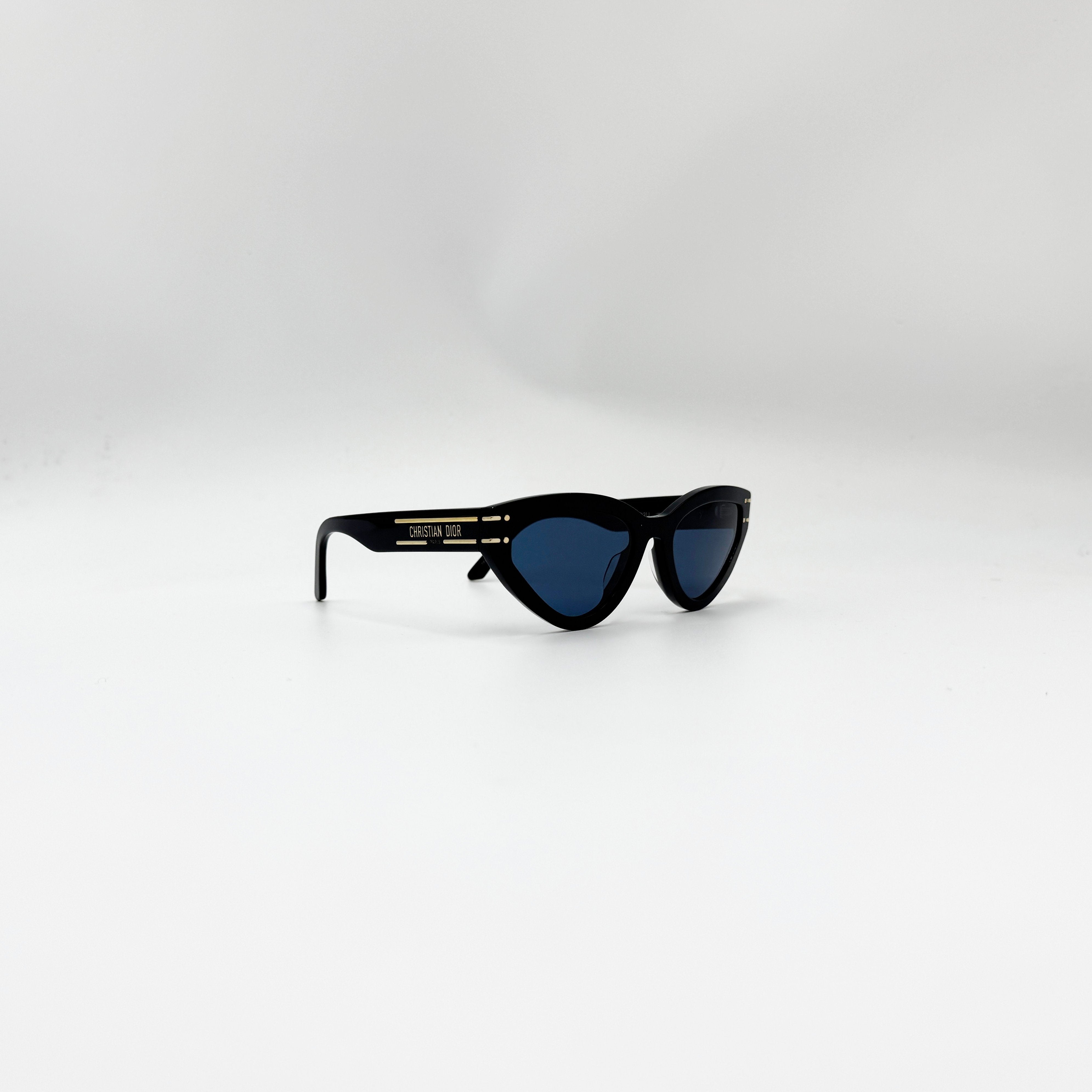 Christian DiorSignature B2U sort