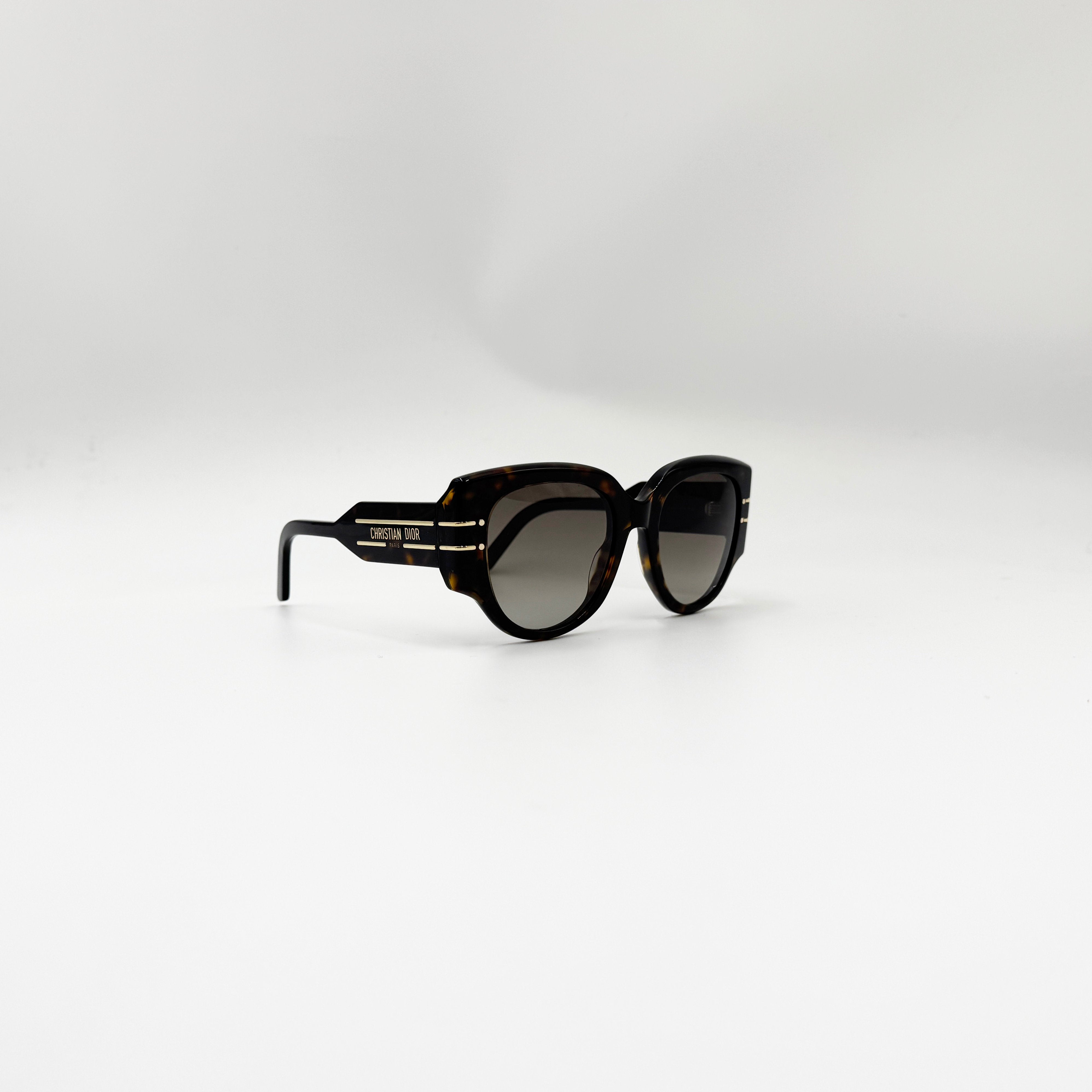 Christian DiorSignature R2I havana