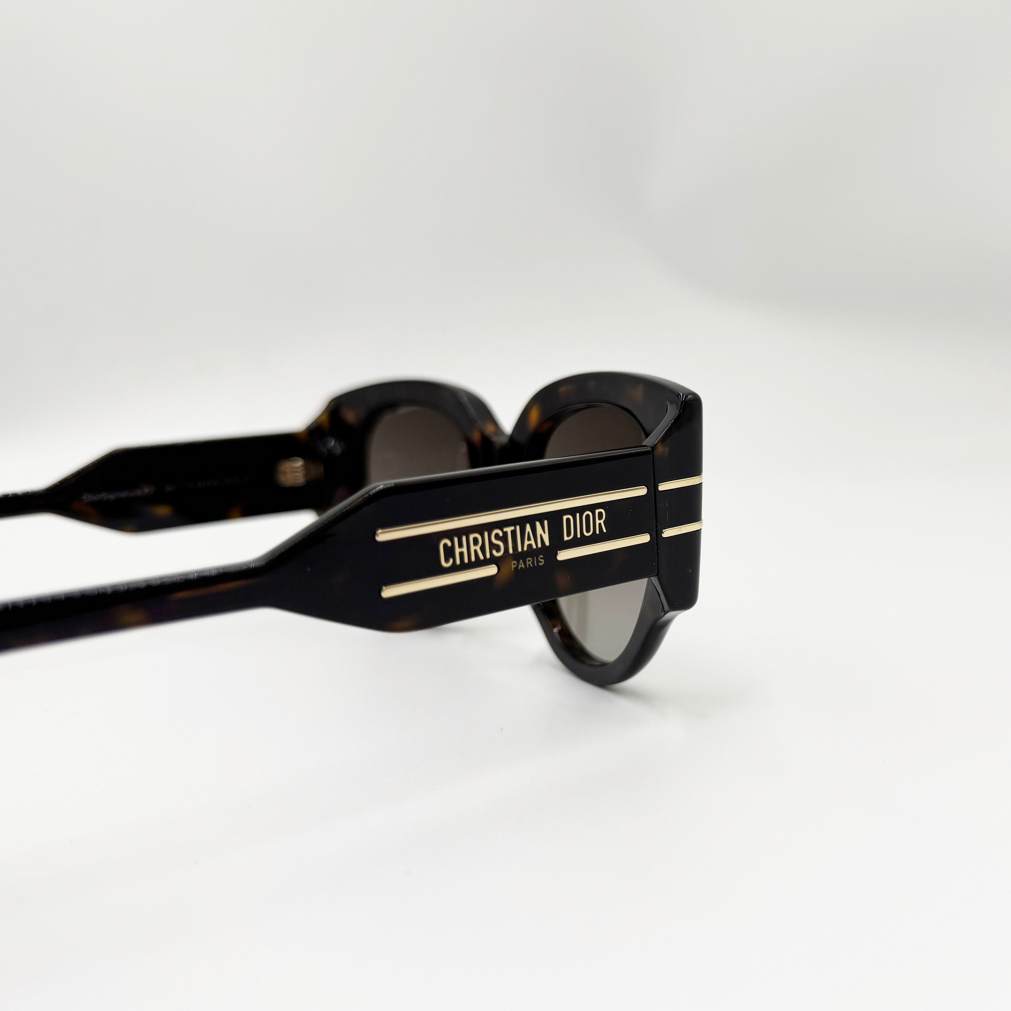 Christian DiorSignature R2I havana
