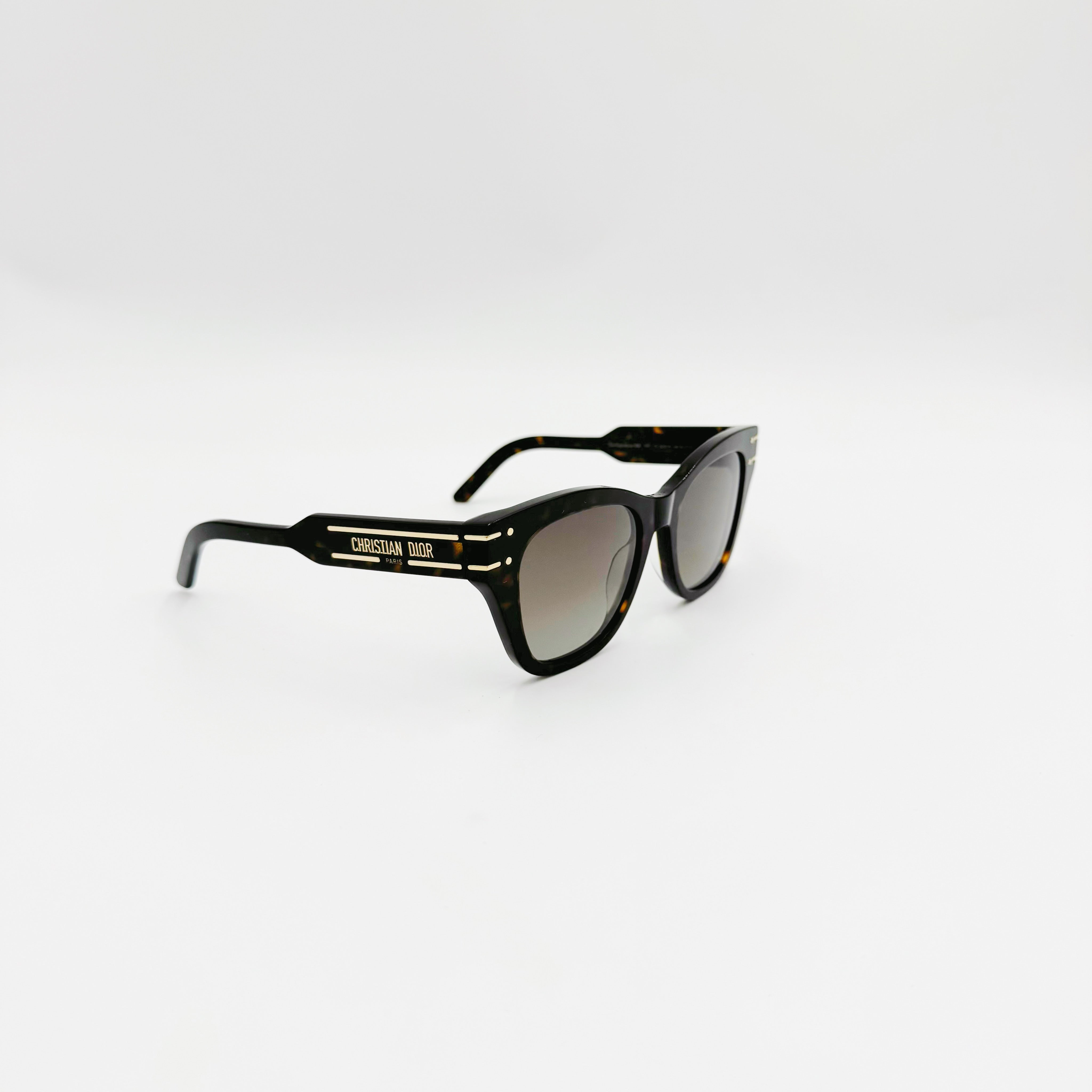 Christian Dior Diorsignatur B41 havanna