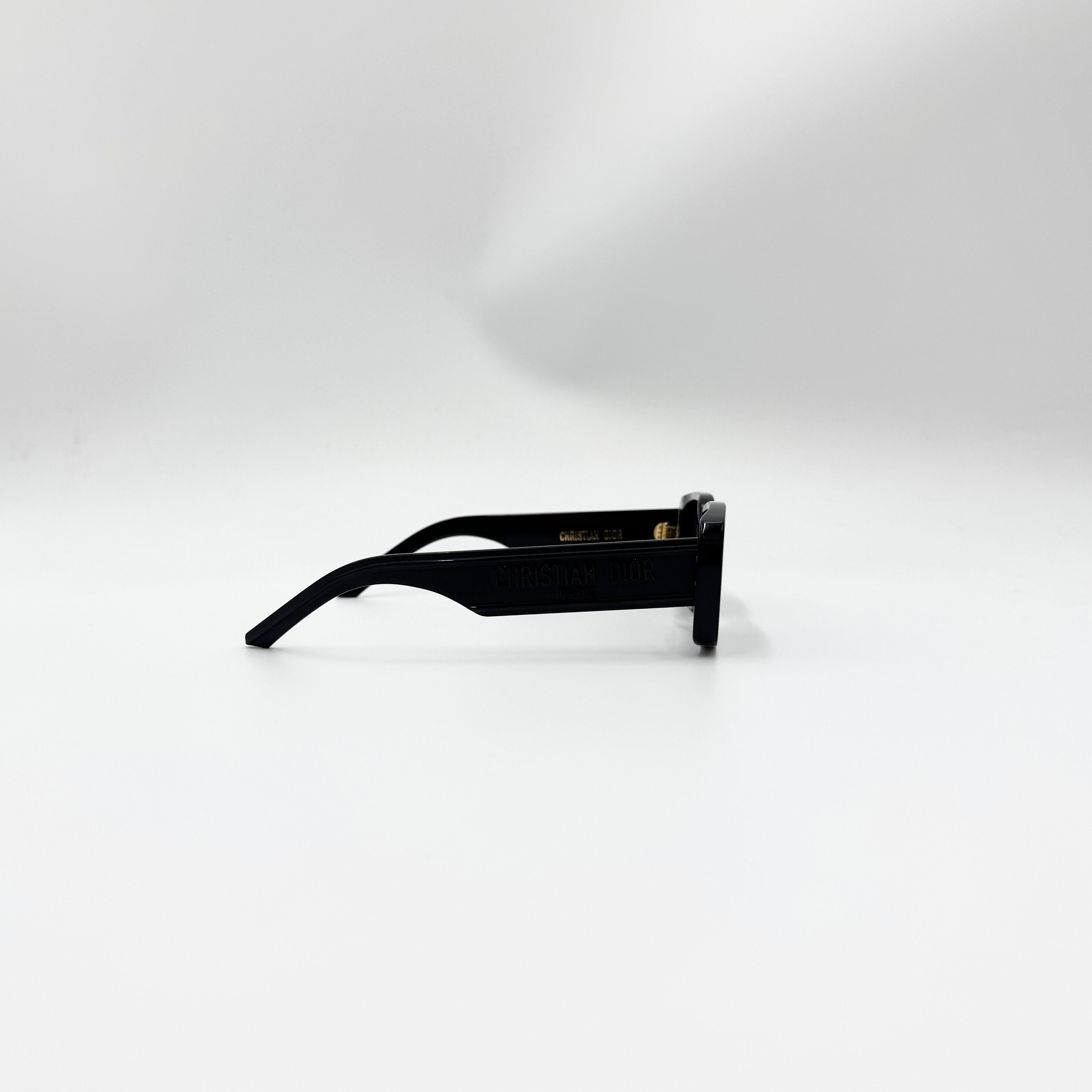 Christian Dior Wilddior S2U sort